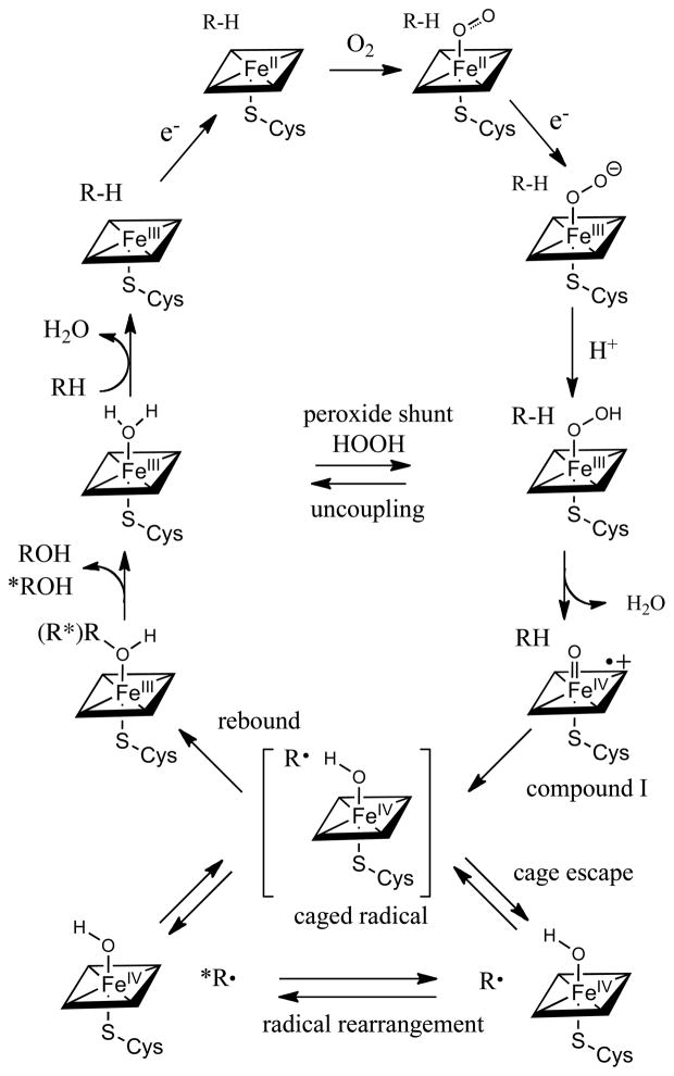 Scheme 1