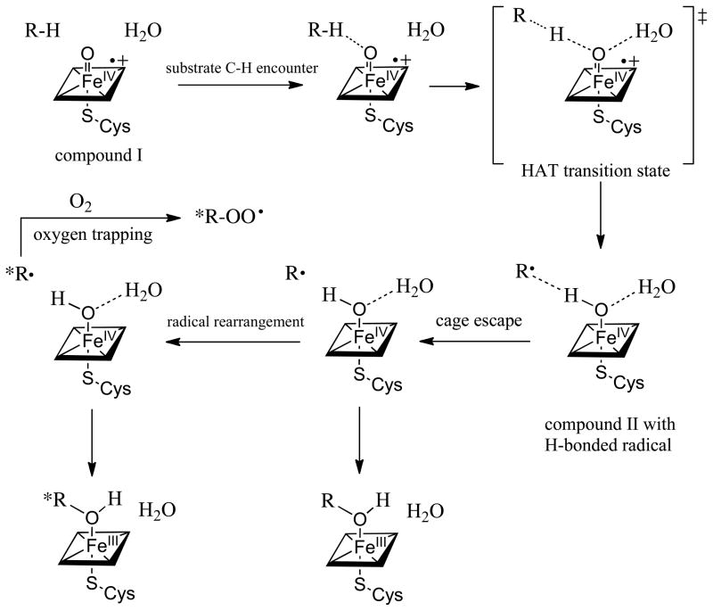 Scheme 3