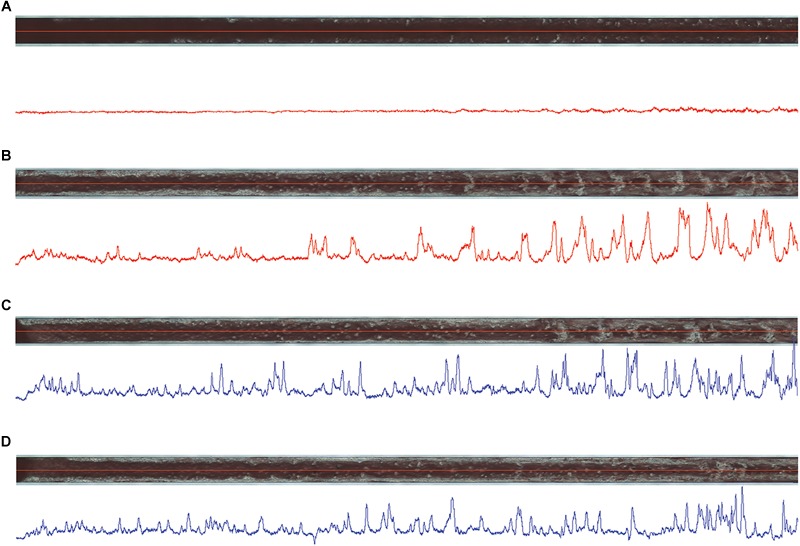 FIGURE 7