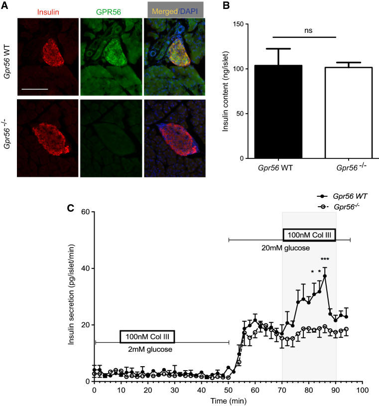 Fig. 4