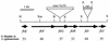 FIG. 2.