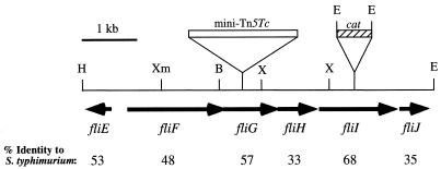 FIG. 2.