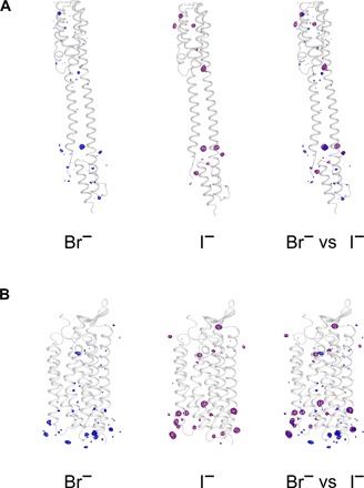 Fig. 5