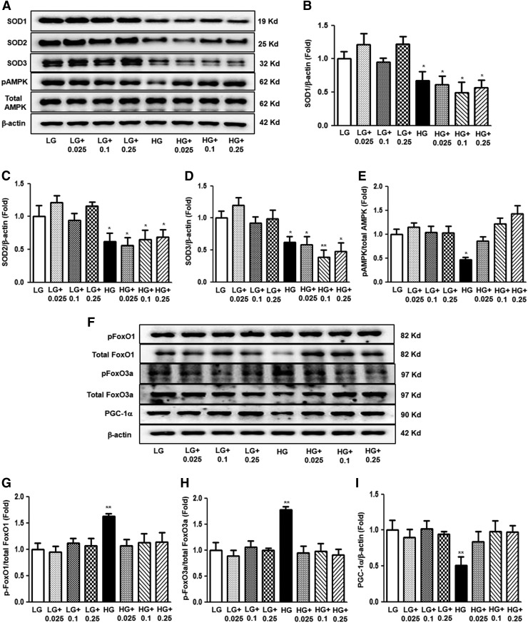 FIG. 9.