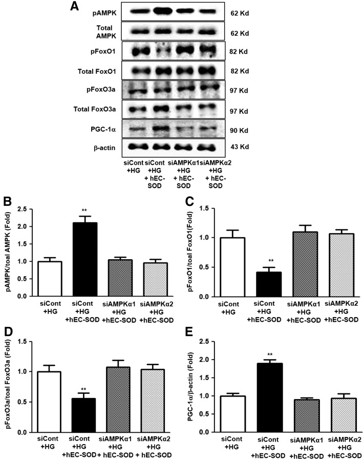 FIG. 11.