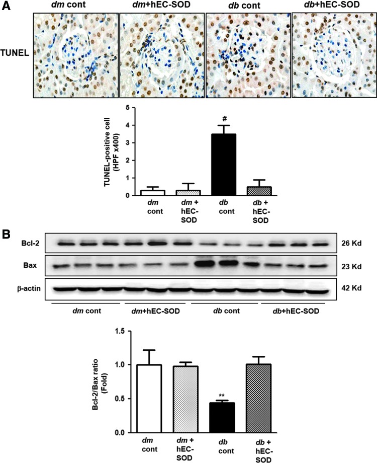 FIG. 8.