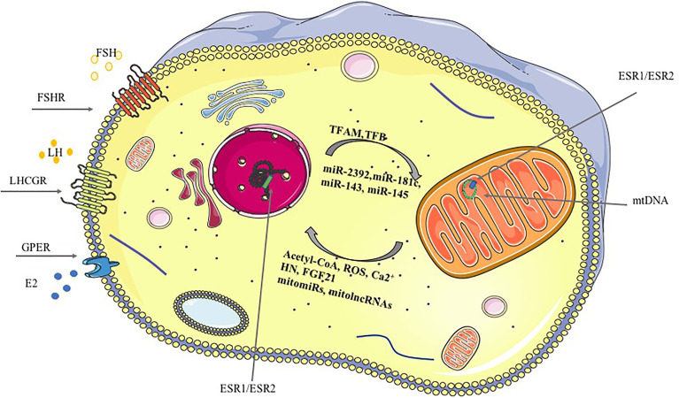 Figure 1