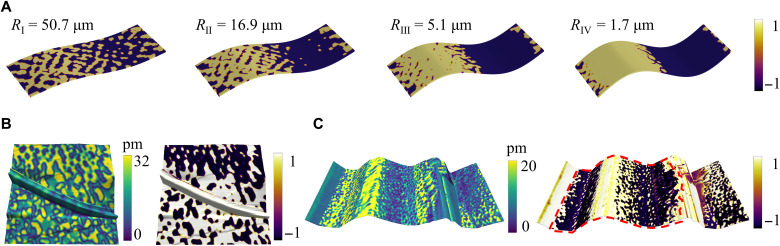 Fig. 3.