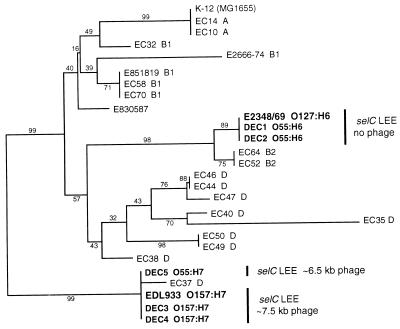 FIG. 5