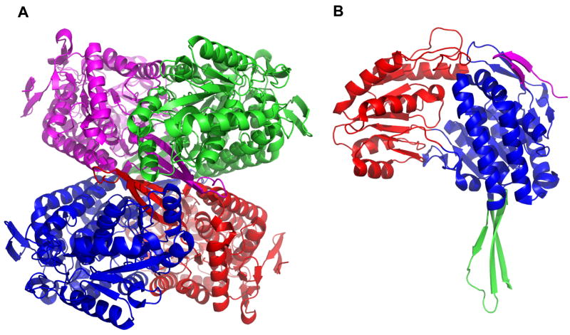 Fig. 4