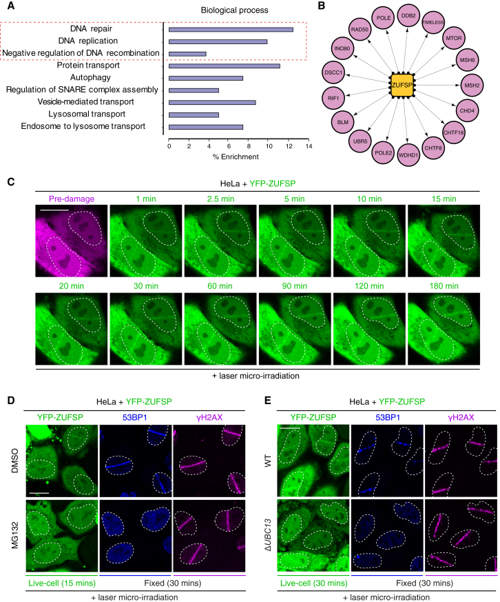 Figure 6