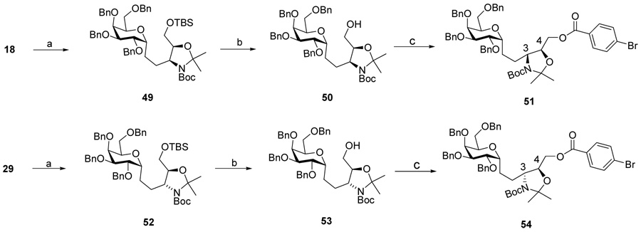Scheme 8