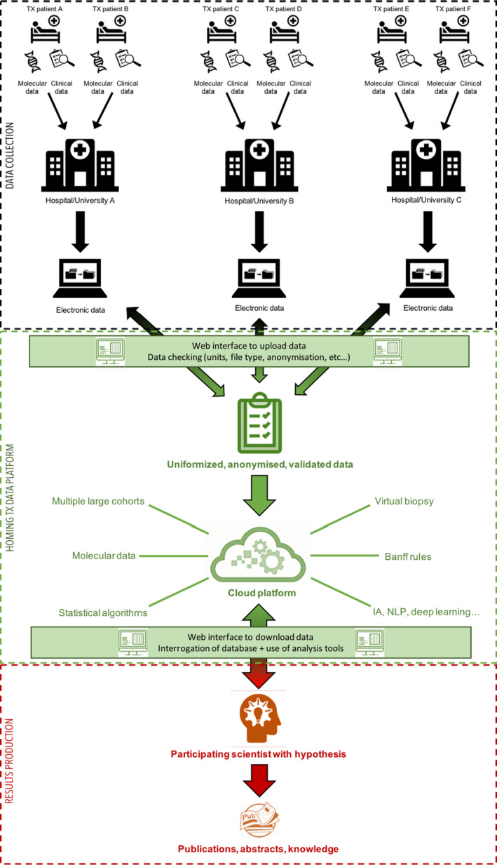 FIGURE 3