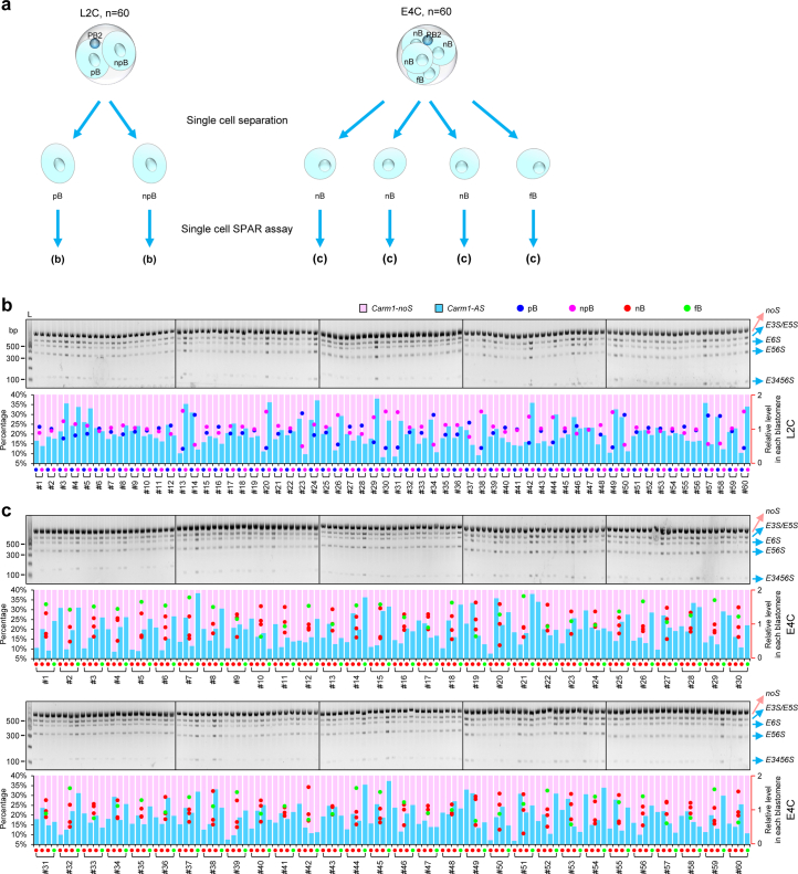 Extended Data Fig. 9