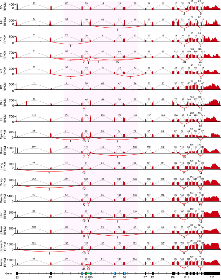 Extended Data Fig. 1