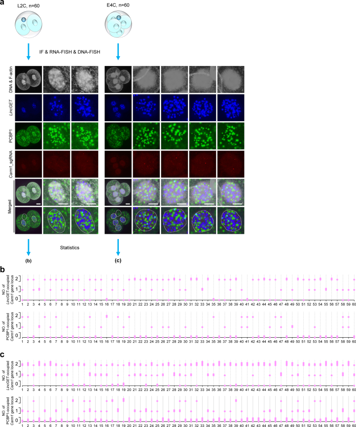 Extended Data Fig. 8