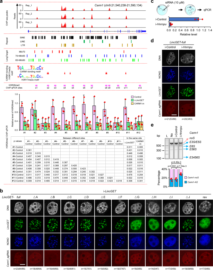 Extended Data Fig. 5