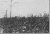 1912-6