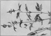 1912-2