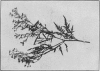 1912-3