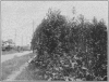 1912-4