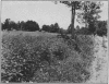 1912-5