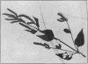 1912-3