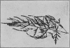 1912-2