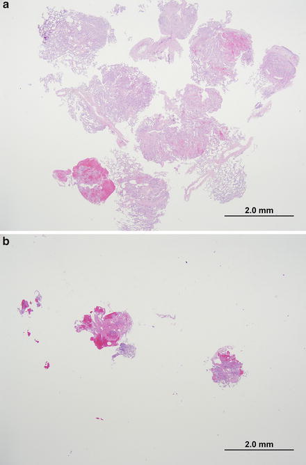 Fig. 2.1