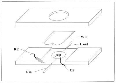 FIG. 1