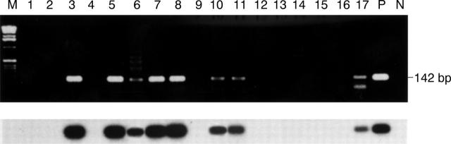 Figure 2  