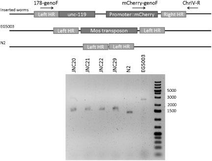 Figure 3.