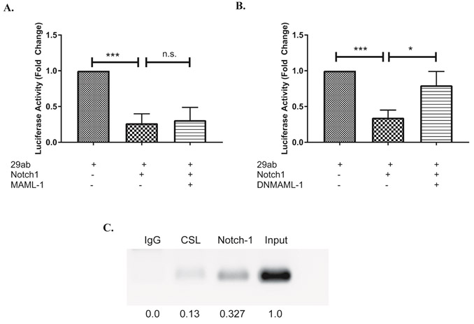 Figure 6: