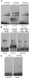 FIG.2.