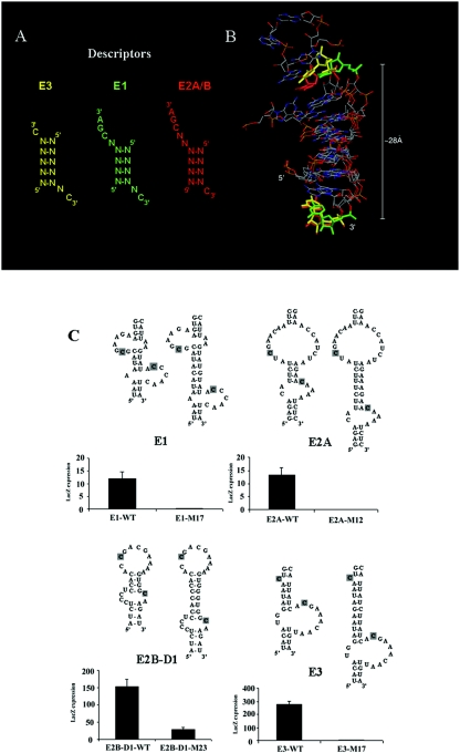 FIG. 6.