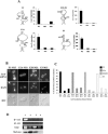 FIG. 5.