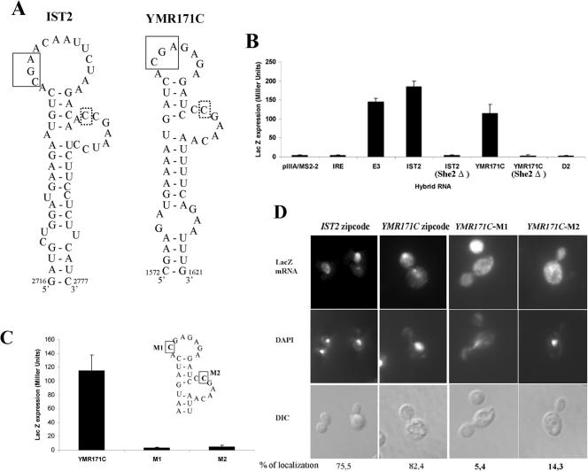 FIG. 7.