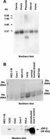 FIG. 6.