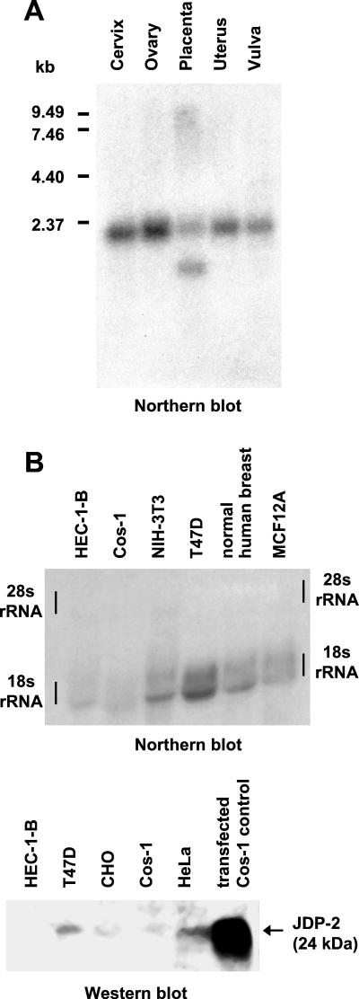 FIG. 6.