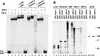 FIG. 10.