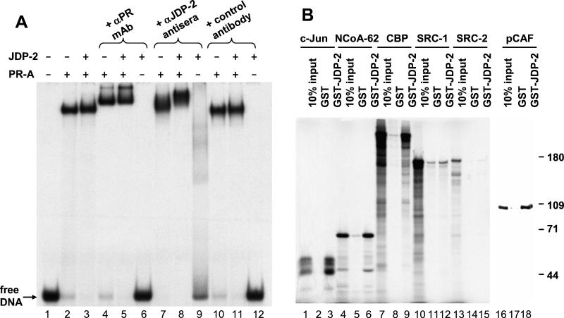 FIG. 10.