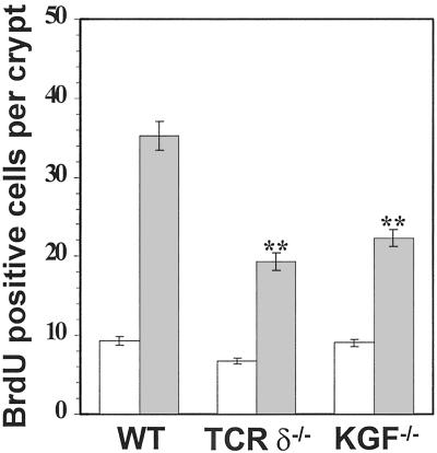 Fig 7.