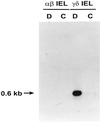 Fig 6.
