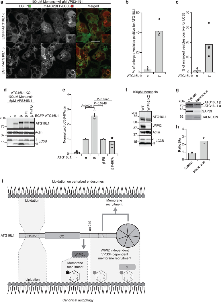 Fig. 7: