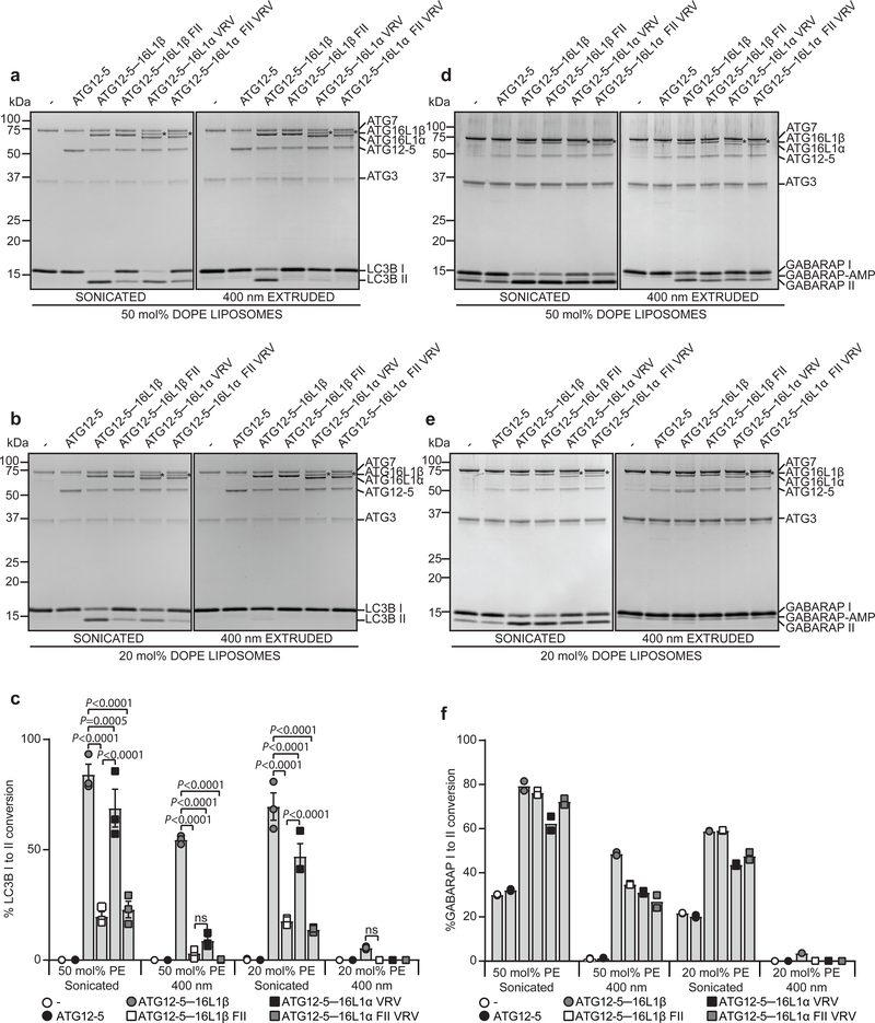 Fig. 3: