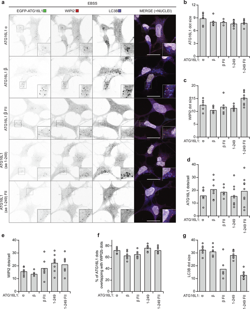 Fig. 5: