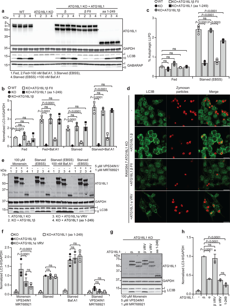 Fig. 4: