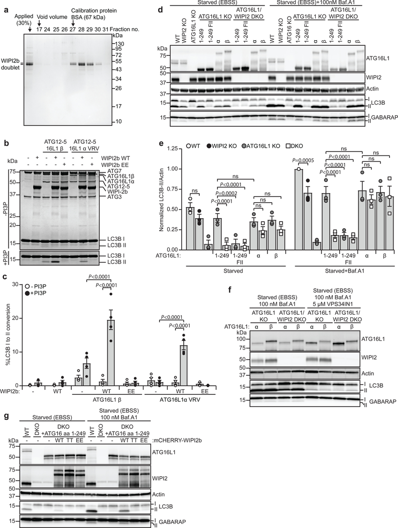 Fig. 6: