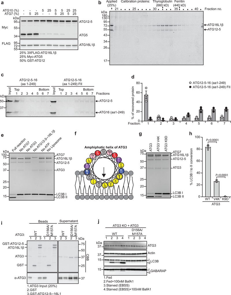 Fig. 2: