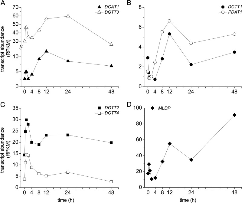 FIGURE 6.